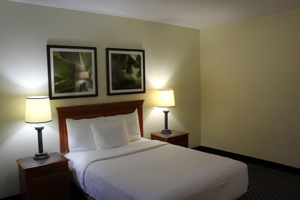 La Quinta By Wyndham Tampa Brandon West Hotel Heartland Exterior foto