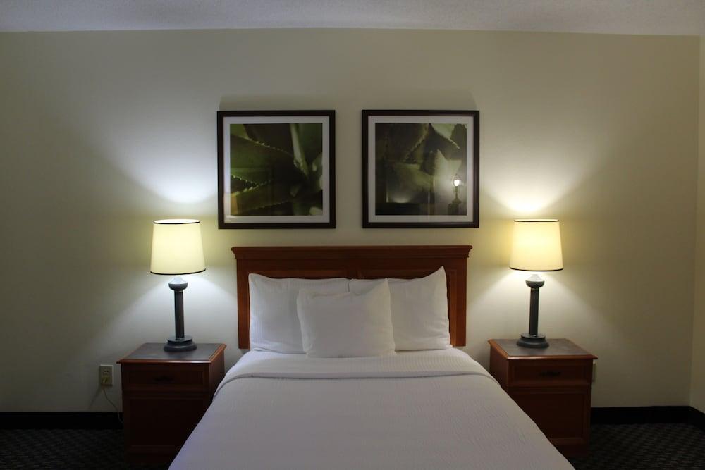 La Quinta By Wyndham Tampa Brandon West Hotel Heartland Exterior foto
